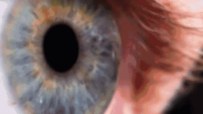 七鑫易维用眼控技术来革 vr 全景渲染的命